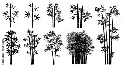 Collection of Bamboo Silhouettes: Various Styles and Arrangements