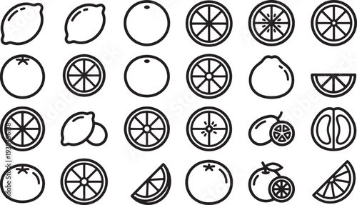 Citrus fruit illustrations. A clean and minimalist collection of citrus fruit illustrations, perfect for designs.