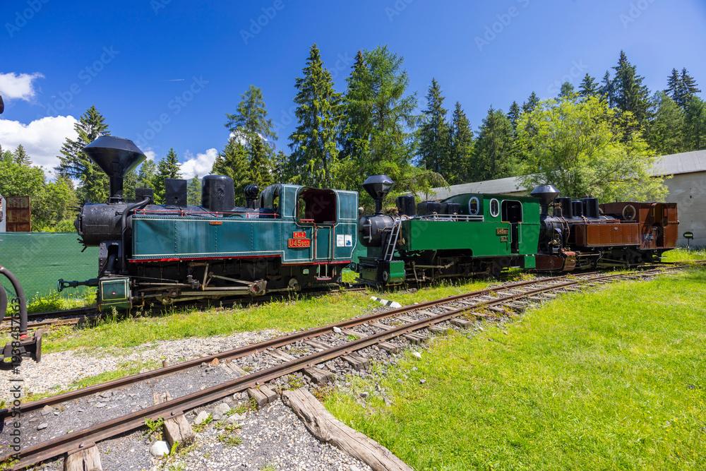 Obraz premium Old steam locomotives parked on tracks outside in the Liptov Village Museum