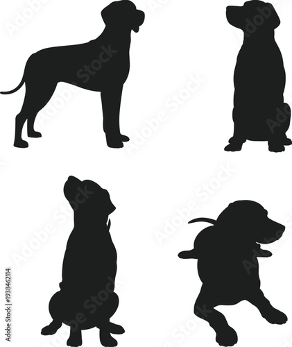 Black dog silhouettes in different poses including standing sitting and lying down isolated on a white background for vector design