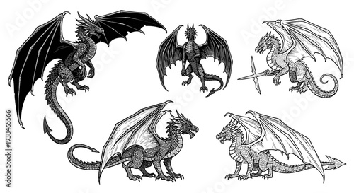 Collection of Mythical Dragons, Fantasy Creatures, Black and White Illustrations