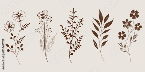 Vintage botanical illustration featuring delicate wildflower stems and foliage