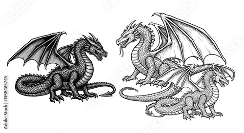 Fantasy Dragons Illustration: Mythical Creatures in Black and White