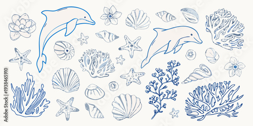 Stylized blue line drawing of marine life and seashells