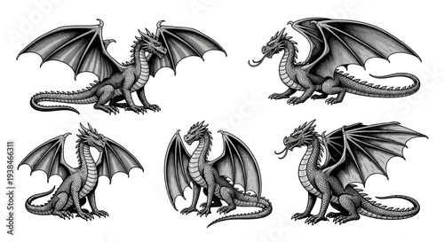 Set of Six Mythical Dragons in Detailed Black and White Illustrations