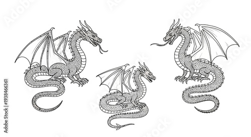 Three Detailed Dragon Illustrations in Black and White on White Background