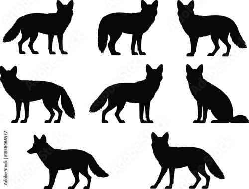 Fox Silhouette Collection with Standing, Walking, and Sitting Wild Animal Shapes Isolated for Wildlife, Forest, and Nature Design