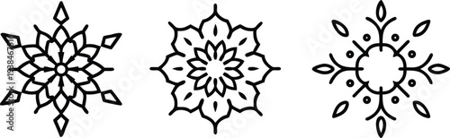Set of Minimalist Black and White Floral Icons and Geometric Snowflake Vector Silhouettes