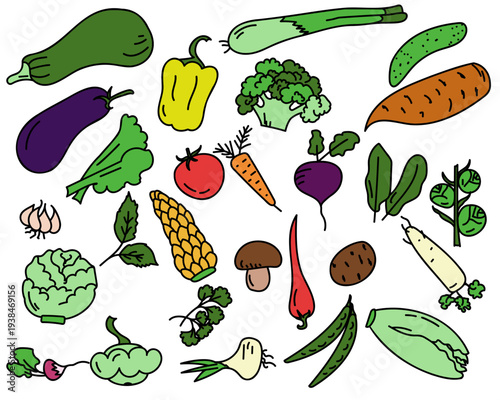 Set of hand-drawn vegetable vector illustrations in a playful doodle style. Colorful flat illustration collection