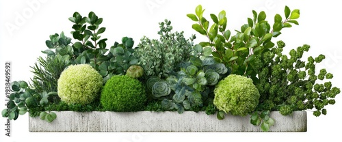 A rectangular planter overflowing with an assortment of green plants and moss