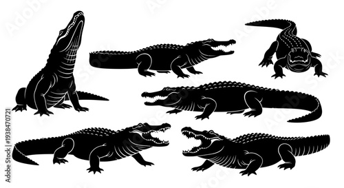 Alligator Silhouettes Collection: Diverse Poses of Reptiles in Black and White