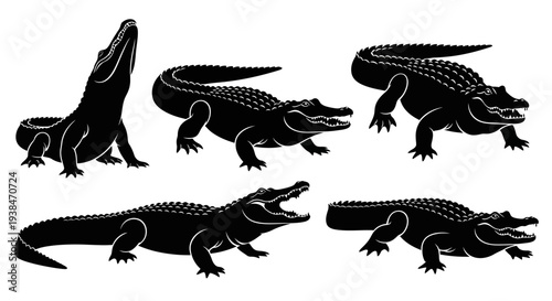 Alligator Silhouettes Collection: Dynamic Poses of Reptiles in Black and White