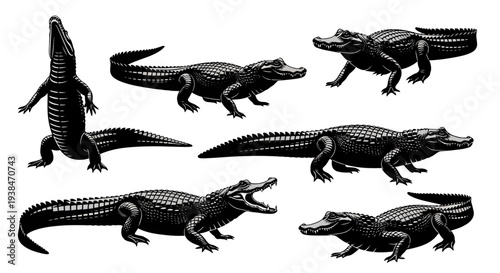 Alligator Set: Diverse Poses of Alligators in Silhouette