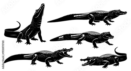 Alligator Silhouettes Collection: Dynamic Poses of Reptiles in Black and White