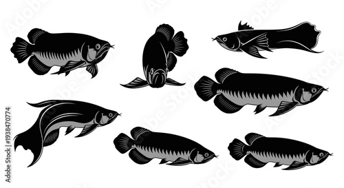 Arowana Fish Silhouettes Collection: Majestic Aquatic Animals in Black and White