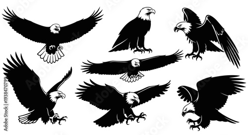 Bald Eagle Silhouette Collection: Majestic Birds in Flight and Perched Poses