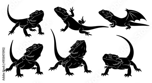 Bearded Dragon Silhouettes: Collection of Six Poses