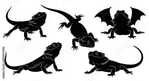 Bearded Dragon Silhouettes: Set of 5 Poses, Black on White Background