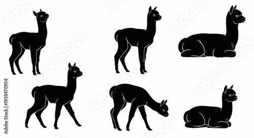 Black Alpaca Silhouettes Collection: Standing, Walking, and Lying Down Poses