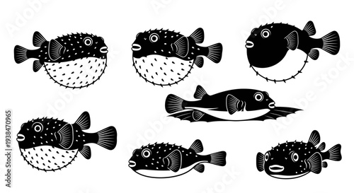 Black and White Pufferfish Collection: Various Poses and Styles