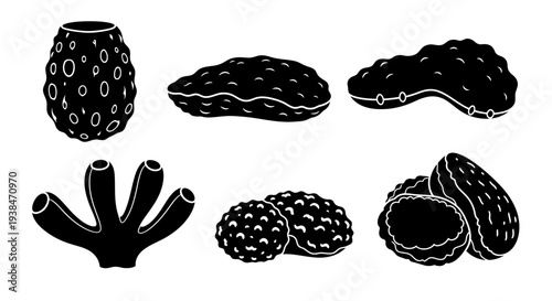Black and White Silhouettes of Various Coral Types and Sea Sponges