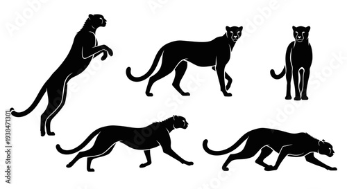 Black Panther Silhouette Collection: Dynamic Poses of a Powerful Big Cat