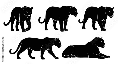 Black Panther Silhouettes Collection: Dynamic Poses of a Majestic Big Cat