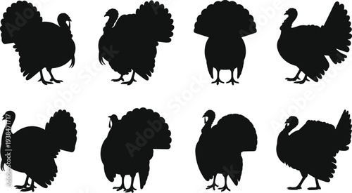 Turkey Silhouette Collection with Multiple Standing Bird Shapes Isolated for Farm Animal, Thanksgiving, and Wildlife Design
