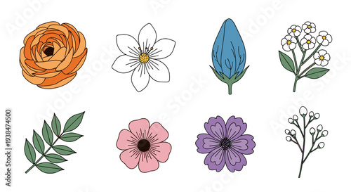 A vibrant collection of hand-drawn floral illustrations featuring various flowers and leaves in a minimalist style