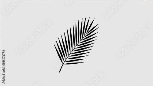 Single black palm leaf on light gray background with white space symbolizing nature and serenity in a minimalist design element