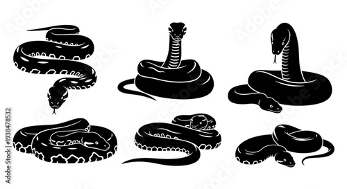 Black Silhouette Snake Collection: Cobra, Python, Viper Poses - Vector Art