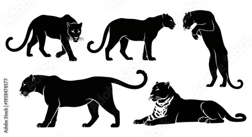 Black Panther Silhouettes: Dynamic Poses of Wild Cats in Vector Art