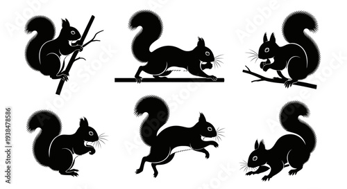 Black Silhouette Squirrels Collection: Various Poses and Actions