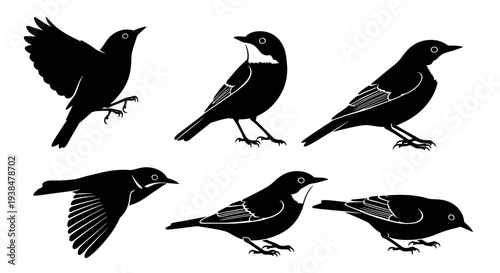 Black Silhouette Bird Collection: Flying, Perching, and Winged Poses