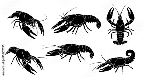 Black Silhouette Crawfish Collection: Isolated on White Background, Top View, Side View