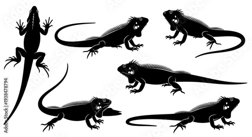 Black Silhouette Iguanas Collection: Diverse Poses of Reptiles on White Background