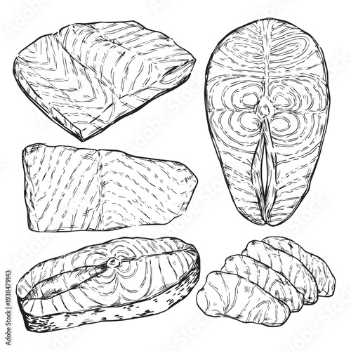 Hand drawn salmon outline drawing vector illustration