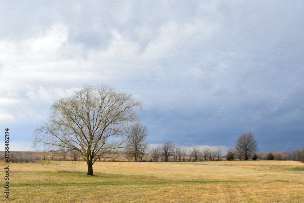 Fototapeta premium Clouds Over a Field