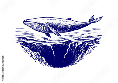 Blue Whale hand drawn simple sketch vector illustration