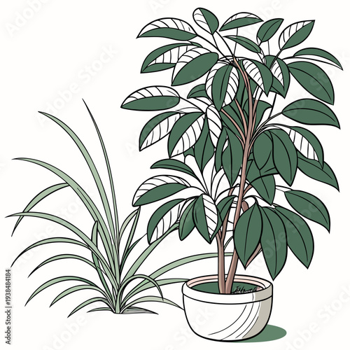 A vibrant green plant with large leaves in a white pot on a wooden surface Vector