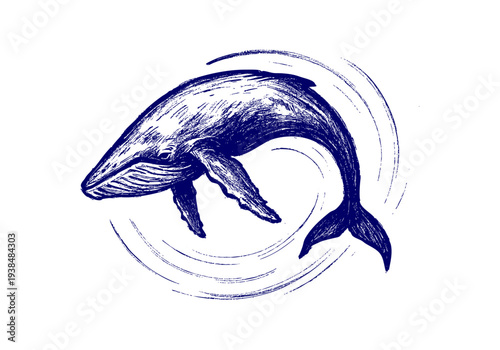 Blue Whale hand drawn simple sketch vector illustration
