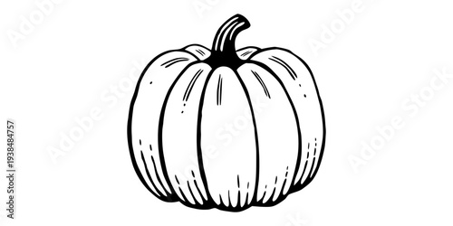 A black and white illustration of a pumpkin with detailed lines and shading