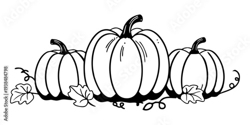 Black and white illustration of three pumpkins with leaves