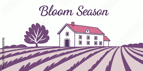 A picturesque countryside scene featuring a charming farmhouse and a field of blooming lavender. Vector