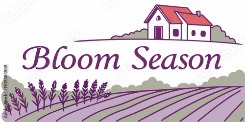 A vibrant bouquet of flowers in full bloom during the spring season Vector