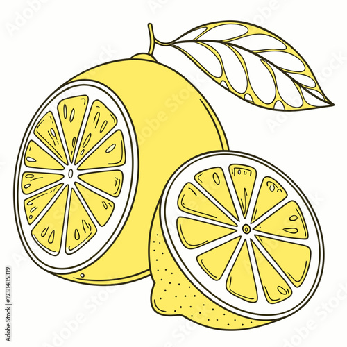 Freshly sliced lemons with bright yellow color and green leaves on a white background Vector