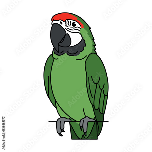 Colorful Cartoon Military Macaw Perched Illustration - Green Parrot with Red Forehead Vector