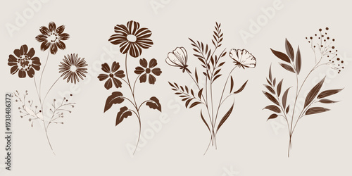 Botanical illustration of wildflowers leaves and delicate floral arrangements