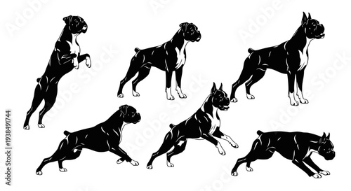 Boxer Dog Poses Silhouette Collection: Jumping, Running, Standing, Playful Actions