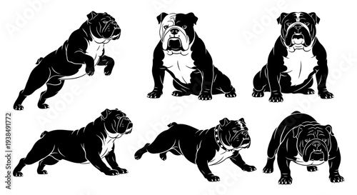 Bulldog Poses Collection: Dynamic Silhouettes of English Bulldogs in Various Actions